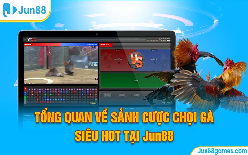 Tổng quan về sảnh cược chọi kê siêu hot tại Jun88